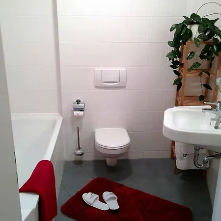 公寓式酒店 Apartmenthaus Elsterlofts 莱比锡